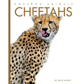 Cheetahs - Paperback