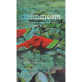 Downstream: Reimagining Water - Paperback