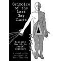 Grimoire of the Lost Gay Zines - Paperback