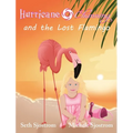 Hurricane Channing and the Lost Flamingo - Hardcover