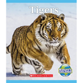 Tigers (Nature's Children) - Paperback