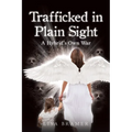 Trafficked in Plain Sight: A Hybrid's Own War - Paperback