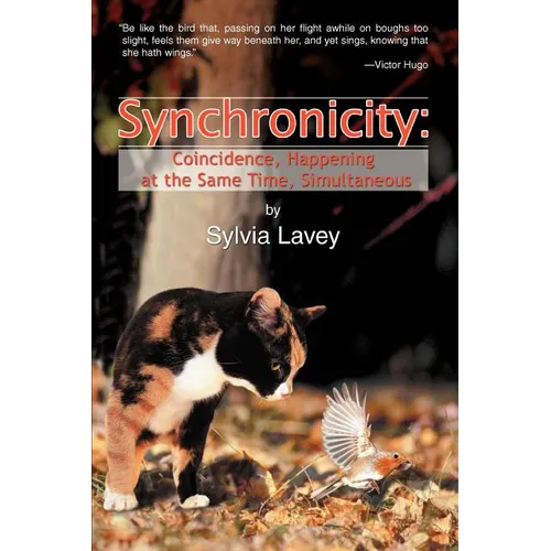 Synchronicity: Coincidence, Happening at the Same Time, Simultaneous - Paperback