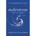 Malestrom: Manhood Swept Into the Currents of a Changing World - Hardcover