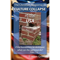 The Christian Response to Culture Collapse in the USA - Paperback