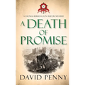 A Death of Promise - Paperback