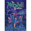 The Merwell Chronicles The Wizard Duels - Hardcover