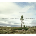 The Oldest Living Things in the World - Hardcover