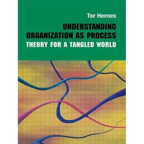 Understanding Organization as Process: Theory for a Tangled World - Paperback