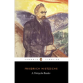 A Nietzsche Reader - Paperback