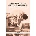 The Politics of the Visible in Asian North American Narratives - Paperback