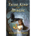 The Third Kind of Magic - Paperback
