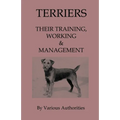Terriers - Their Training, Work & Management - Paperback
