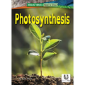 Photosynthesis - Paperback