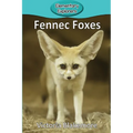 Fennec Foxes - Paperback