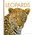 Leopards - Paperback