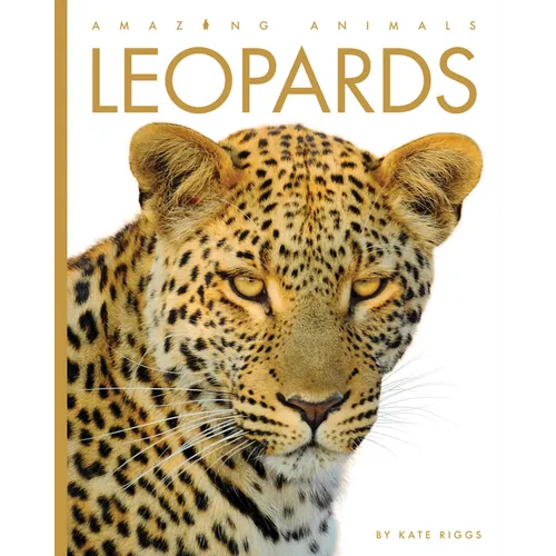 Leopards - Paperback