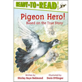 Pigeon Hero! - Paperback