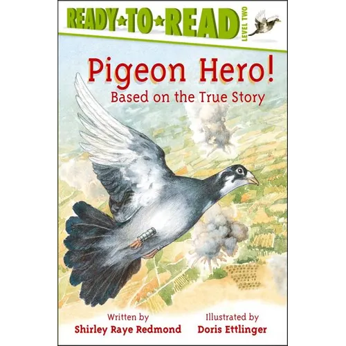 Pigeon Hero! - Paperback