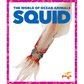 Squid - Paperback