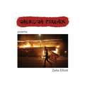 American Phoenix: poems - Paperback