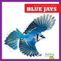 Blue Jays - Paperback
