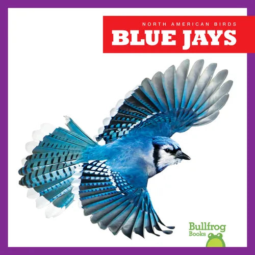 Blue Jays - Paperback
