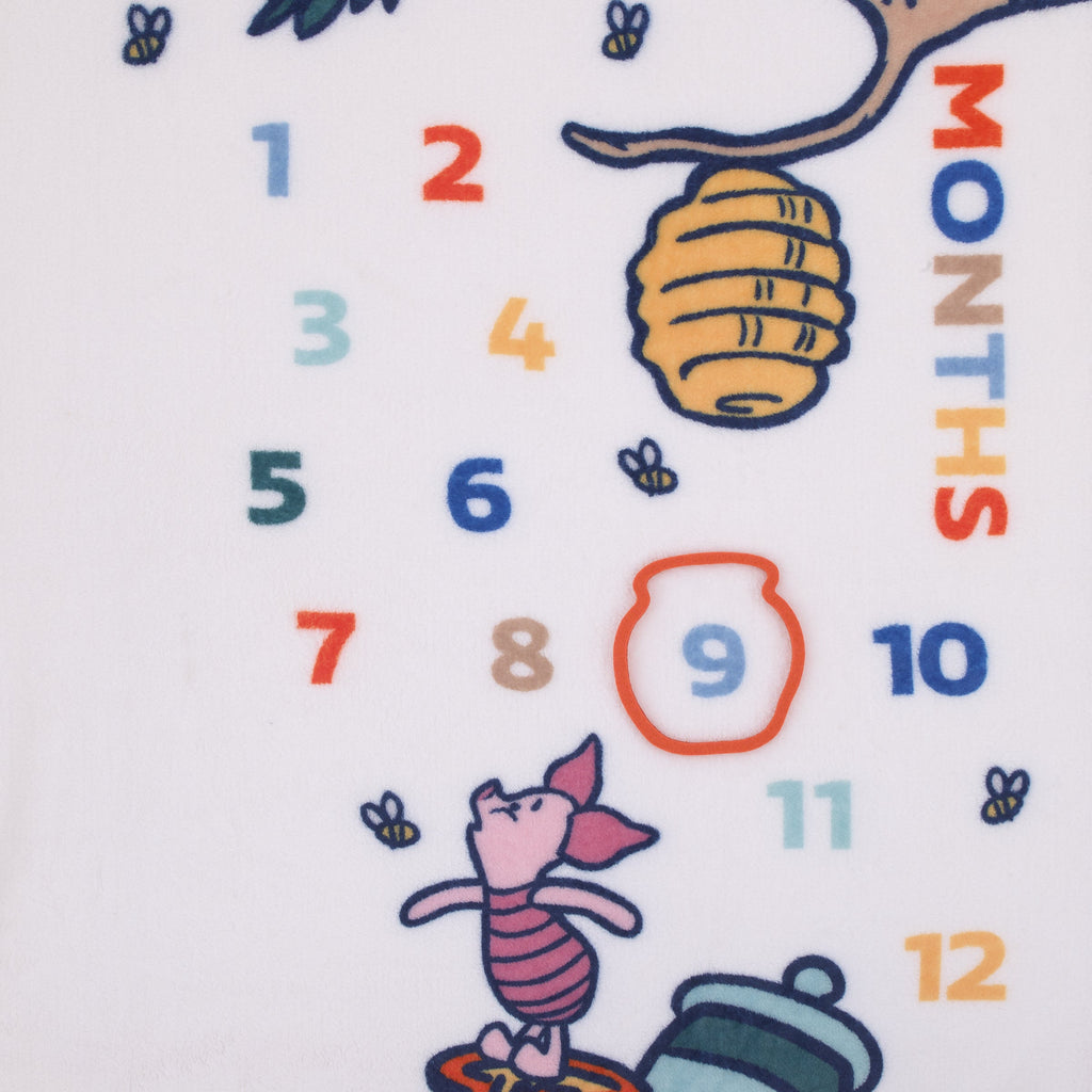 Disney Winnie the Pooh White, Blue, and Yellow Sweet As Can Bee Super Soft Photo Op Milestone Baby Blanket