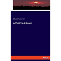 A Visit To A Gnani - Paperback