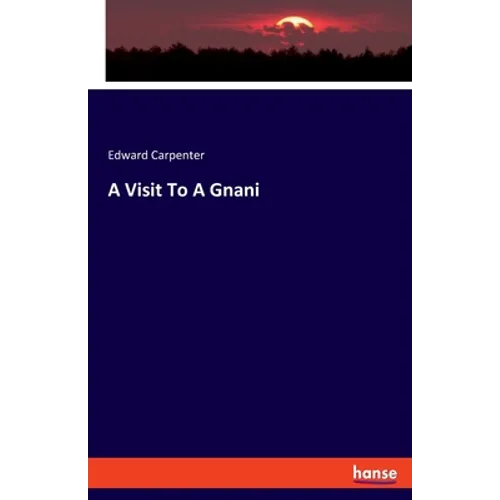 A Visit To A Gnani - Paperback