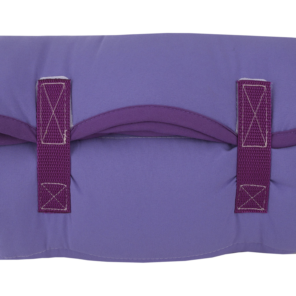 Disney Frozen Winter Cheer Lavender, Aqua, Green and White, Anna, Elsa and Olaf Toddler Nap Mat