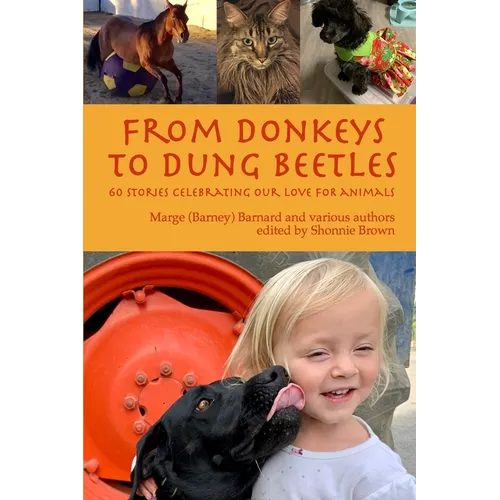 From Donkeys to Dung Beetles: 60 Stories Celebrating Our Love For Animals - Paperback