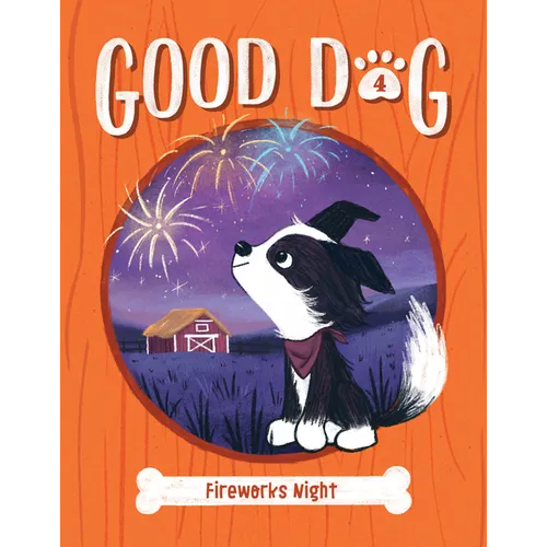 Fireworks Night: #4 - Library Binding
