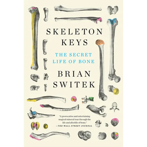 Skeleton Keys: The Secret Life of Bone - Paperback