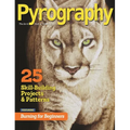 Pyrography Special Edition: 25 Skill-Building Projects & Patterns Featuring Burning for Beginners - Paperback