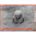 Unearthing Ancient Nubia: Photographs from the Harvard University-Boston Museum of Fine Arts Expedition - Hardcover