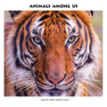 Animals Among Us - Hardcover