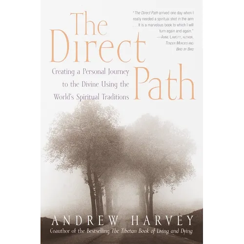 The Direct Path: Creating a Personal Journey to the Divine Using the World's Spirtual Traditions - Paperback