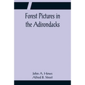 Forest Pictures in the Adirondacks - Paperback