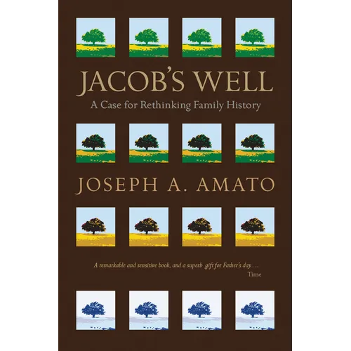 Jacob's Well: A Case for Rethinking Family History - Paperback