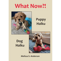 What Now?!: Puppy Haiku / Dog Haiku - Paperback