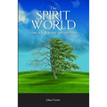 The Spirit World from a Christian Perspective - Paperback