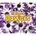 All about Flowers - Paperback