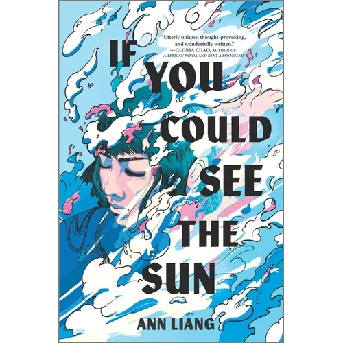 If You Could See the Sun - Hardcover