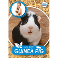 My Pet Guinea Pig - Paperback