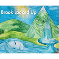 Brook Looked Up - Hardcover
