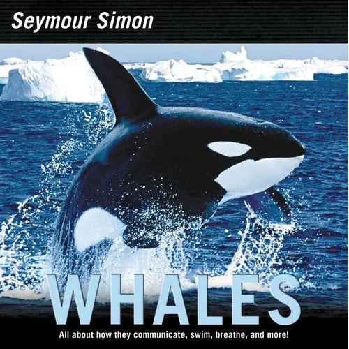 Whales - Paperback