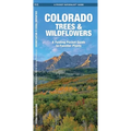 Colorado Trees & Wildflowers: An Introduction to Familiar Species