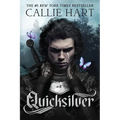 Quicksilver - Paperback
