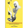Yellowsnake, Son of Prophecy - Paperback